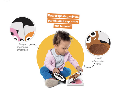 Colori Flash cards con inserti tattili