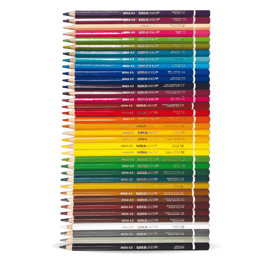 Color Set Multicolor