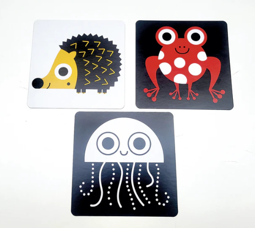 Animali flash cards ad alta leggibilità