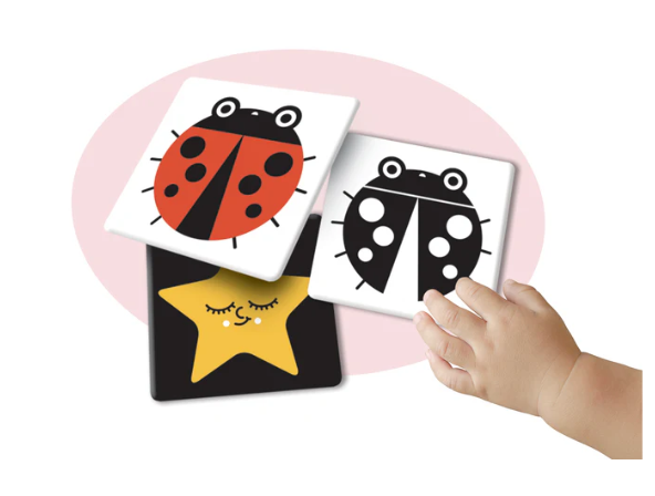 Giorno notte Flash cards ad alta leggibilità