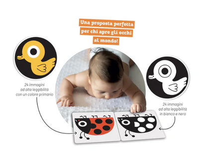 Giorno notte Flash cards ad alta leggibilità