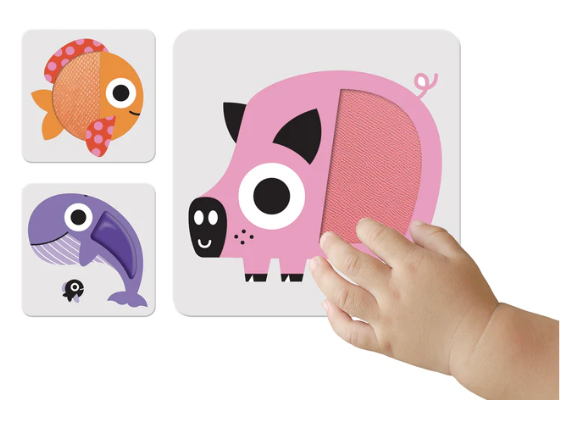 Colori Flash cards con inserti tattili